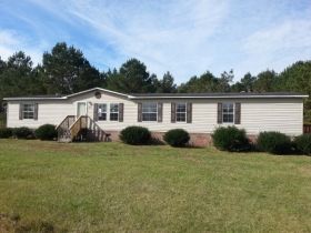 232 Rodeo Drive, Eutawville, SC 29048