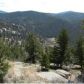 102 Dome Rock Trail, Florissant, CO 80816 ID:3858691