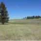 211 Joshua Rd., Divide, CO 80814 ID:3857601