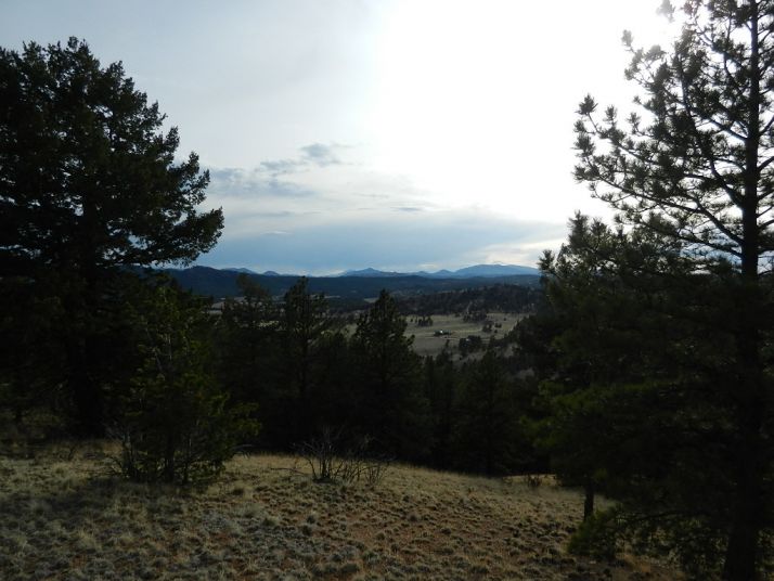 918 Old Ranch Rd., Florissant, CO 80816