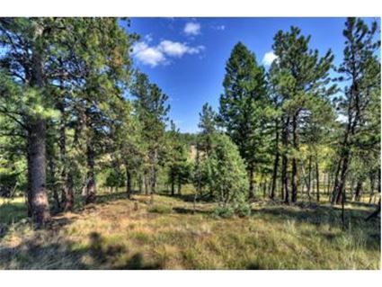 465 Bluebird Lane, Bailey, CO 80421