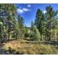 465 Bluebird Lane, Bailey, CO 80421 ID:1634524