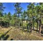 465 Bluebird Lane, Bailey, CO 80421 ID:1634526