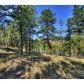 465 Bluebird Lane, Bailey, CO 80421 ID:1634527