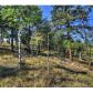 465 Bluebird Lane, Bailey, CO 80421 ID:1634528