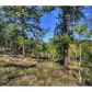 465 Bluebird Lane, Bailey, CO 80421 ID:1634529