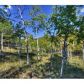 465 Bluebird Lane, Bailey, CO 80421 ID:1634530