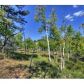 465 Bluebird Lane, Bailey, CO 80421 ID:1634532