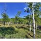 465 Bluebird Lane, Bailey, CO 80421 ID:1634533