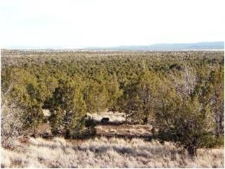 87 W No Name, Ash Fork, AZ 86320