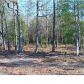 2 COUNTY LINE RD, Ravenel, SC 29470 ID:1905110