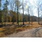 2 COUNTY LINE RD, Ravenel, SC 29470 ID:1905111