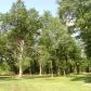 8551 Prestwood Bridge Road, Andalusia, AL 36421 ID:1118205