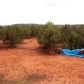 184 Camp Road, Ash Fork, AZ 86320 ID:4250334