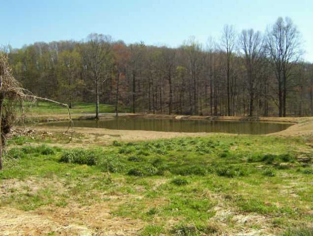 8 Quiet Waters, Dahlonega, GA 30533