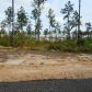 Lot 33 Saddlewood Estates Phase III, Leesville, LA 71446 ID:3095533