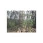 3 Dana Road, Mineral Bluff, GA 30559 ID:2538024