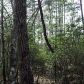 3 Dana Road, Mineral Bluff, GA 30559 ID:2538025