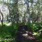 D002 No Road, Palmer, AK 99645 ID:1513898