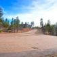 7074 Leo Lane, Lakeside, AZ 85929 ID:3225308