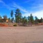 7074 Leo Lane, Lakeside, AZ 85929 ID:3225309