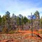 7074 Leo Lane, Lakeside, AZ 85929 ID:3225313