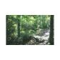 0 Woodlands Bluff, Mineral Bluff, GA 30559 ID:2966700