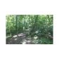 0 Woodlands Bluff, Mineral Bluff, GA 30559 ID:2966695