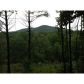 852 Arp Road, Mineral Bluff, GA 30559 ID:2862635