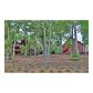 466 Cinnamon Bear Road, Mineral Bluff, GA 30559 ID:2643045