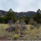 219 Apache Trail, Florissant, CO 80816 ID:3859564