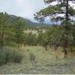 219 Apache Trail, Florissant, CO 80816 ID:3859565