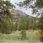 219 Apache Trail, Florissant, CO 80816 ID:3859567