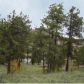 219 Apache Trail, Florissant, CO 80816 ID:3859568