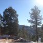 104 Rainbow Ct., Divide, CO 80814 ID:3857575