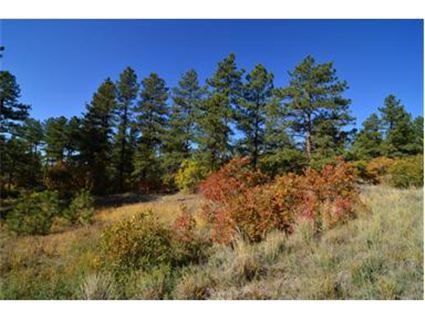 1789 Wild Timber Court, Franktown, CO 80116