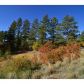 1789 Wild Timber Court, Franktown, CO 80116 ID:3864418