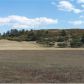 11834 South Highway 83 Highway, Franktown, CO 80116 ID:3864434