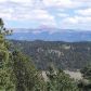 1035 Box Canyon Drive, Florissant, CO 80816 ID:3859607