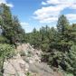 1035 Box Canyon Drive, Florissant, CO 80816 ID:3859609