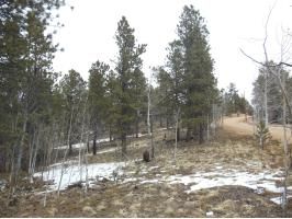 645 Badger Trail, Florissant, CO 80816