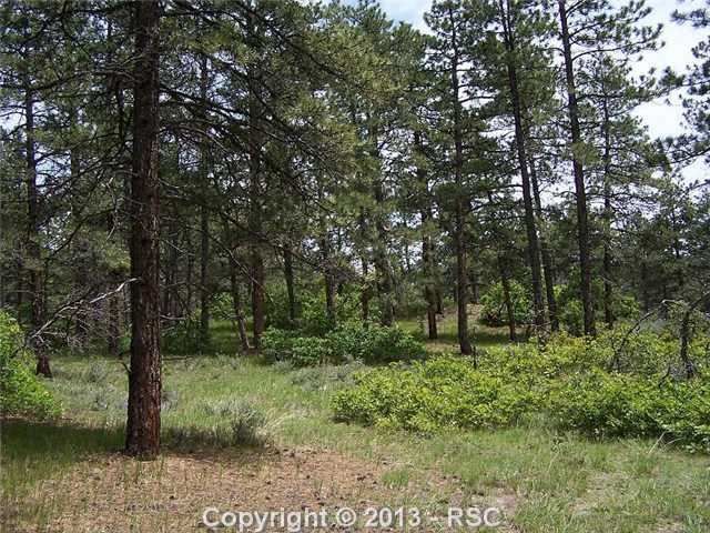 1687 Wild Timber Ct, Franktown, CO 80116