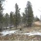 645 Badger Trail, Florissant, CO 80816 ID:3859693