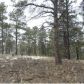 645 Badger Trail, Florissant, CO 80816 ID:3859696