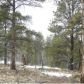 645 Badger Trail, Florissant, CO 80816 ID:3859698