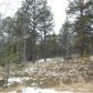 645 Badger Trail, Florissant, CO 80816 ID:3859699