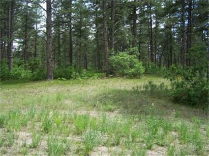 1725 Wild Timber Court, Franktown, CO 80116