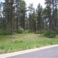 1725 Wild Timber Court, Franktown, CO 80116 ID:3864404