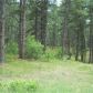 1725 Wild Timber Court, Franktown, CO 80116 ID:3864405