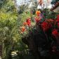 3415 Campanil Dr, Santa Barbara, CA 93109 ID:4431920